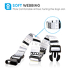 Wehao Dog Collar Stylish Durable Nylon Comfortable Adjustable Design