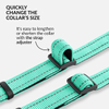 Wehao Reflective Dog Collar with Padding for Safety Comfort