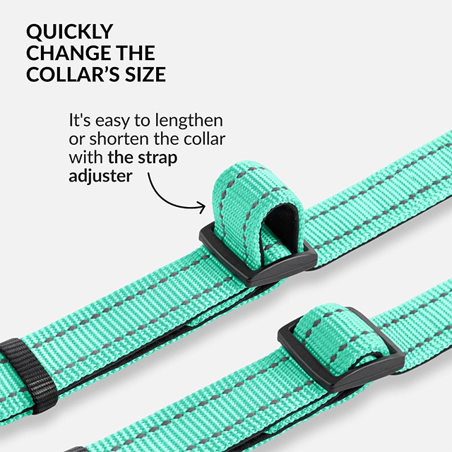 Wehao Reflective Dog Collar with Padding for Safety Comfort