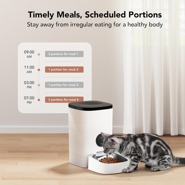 Timely Meals Scheduled Portions