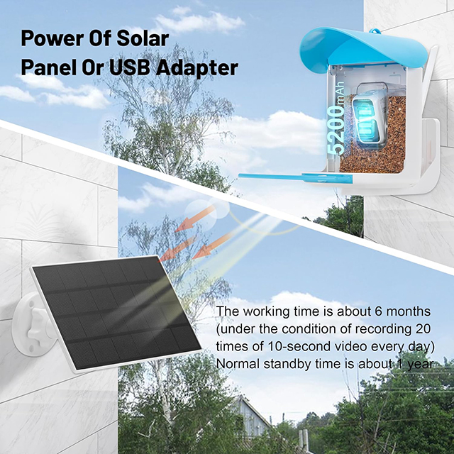Wehao Smart Bird Feeder with AI Camera And Solar Panel