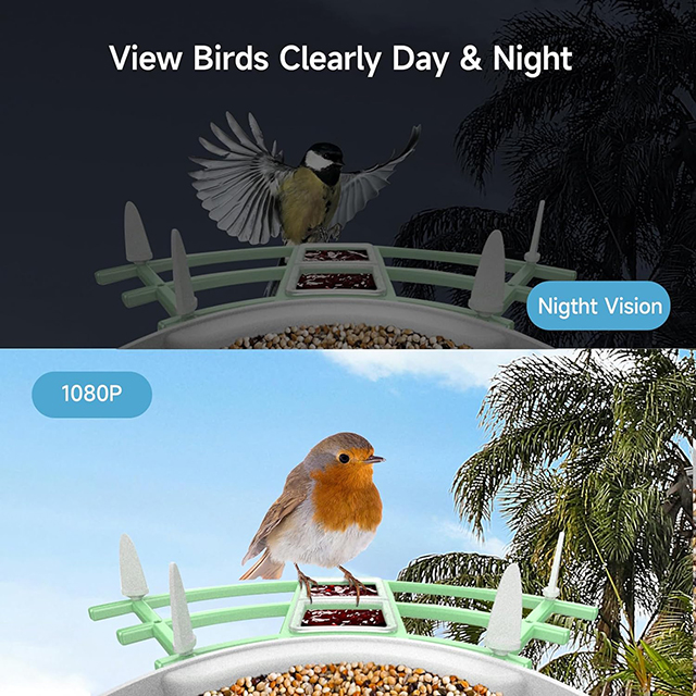 Wehao Smart AI Bird Feeder Camera Motion Detection Solar-Powered