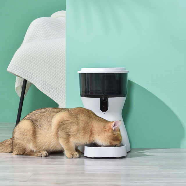 Wehao Pets 4L Automatic Pet Food Dispenser With Camera