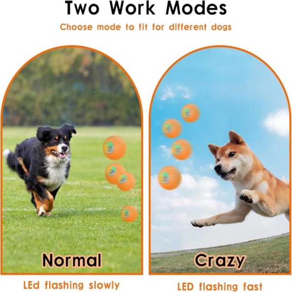 Dog Interactive Toys