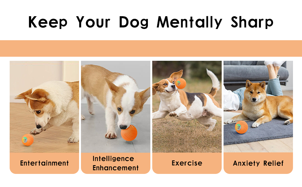 Small Dog Toys