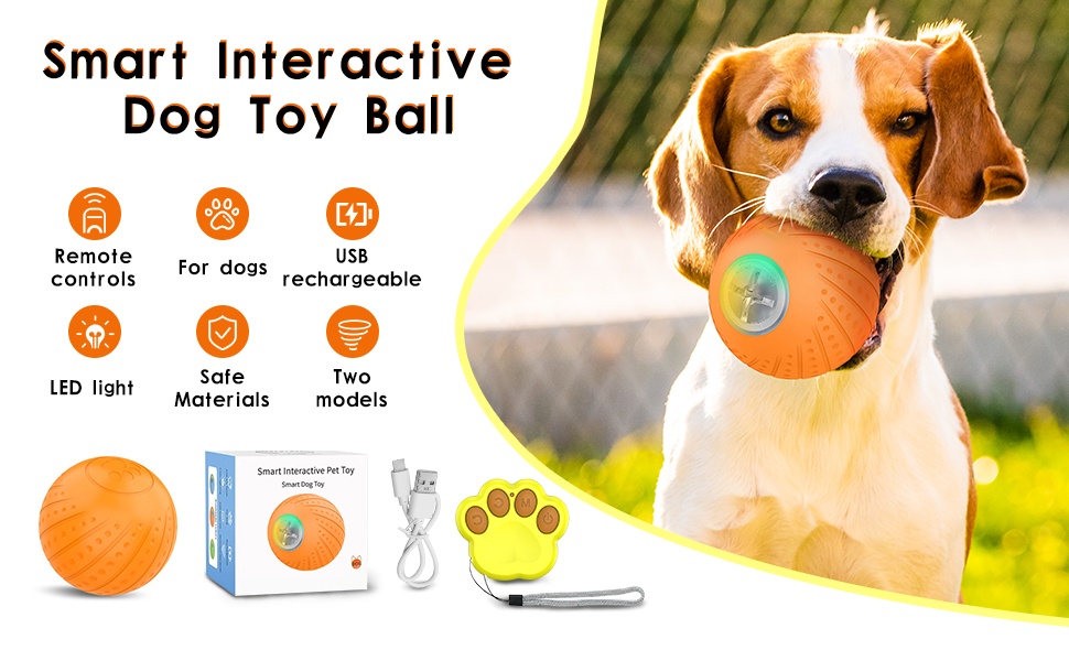 Dog Enrichment Toys