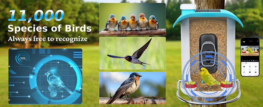 2、best bird feeder with camera