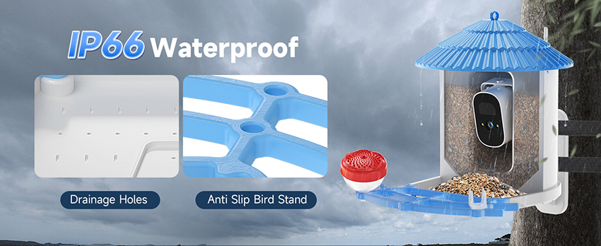 6、bulk bird feeders