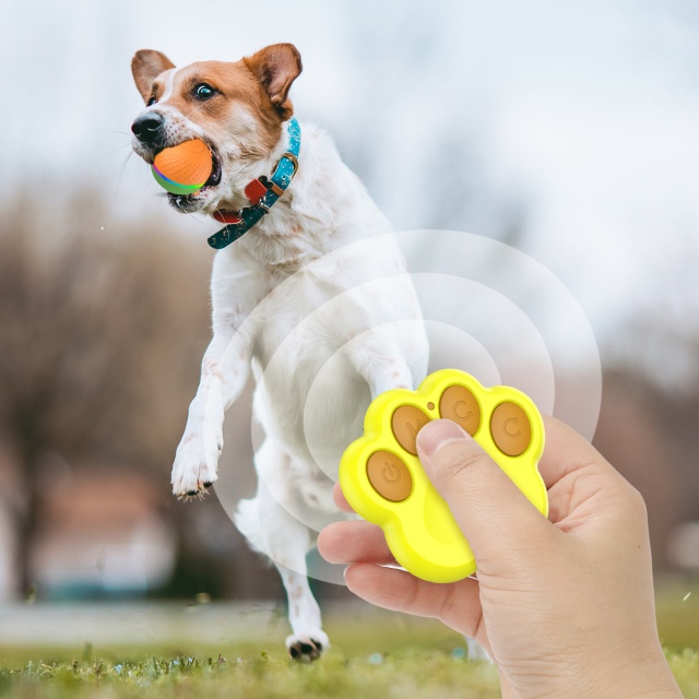 Wholesale Bulk Electric Automatic Interactive Dog Ball Toys With Remote & Radar 