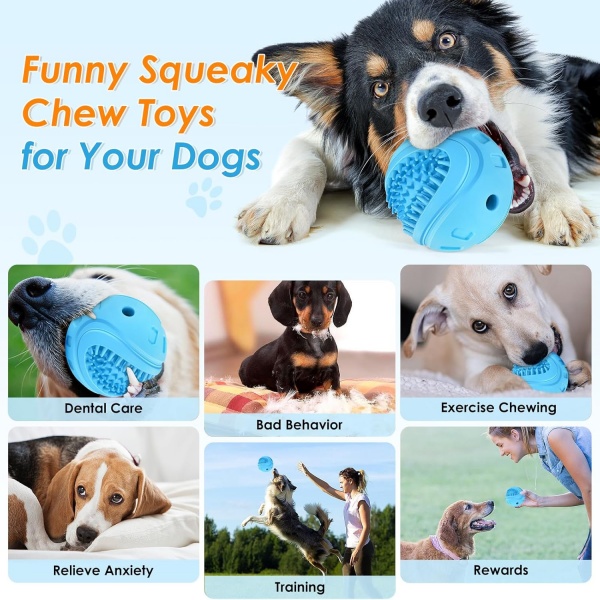 Indoor and outdoor dog toys