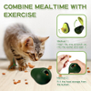 Wehao Multi-Functional Catnip Tumbler Toy