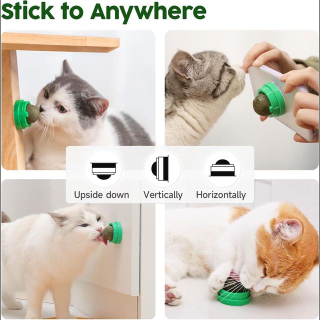 Wehao Catnip Balls for Play And Dental Health