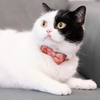 Wehao Safety Buckle Cat Collar with Detachable Bow Bell
