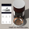 Wehao Pets 3L Automatic Pet Feeder Dispenser