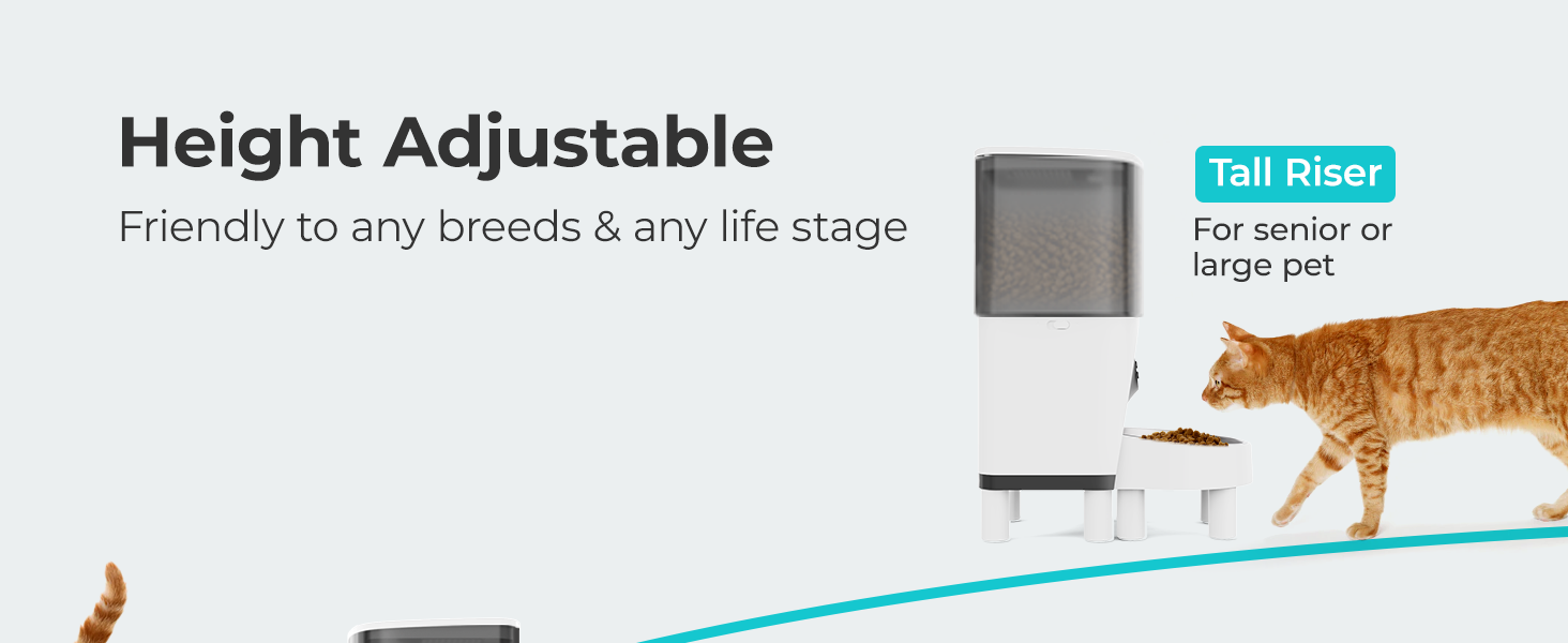 6 Height Adjustable