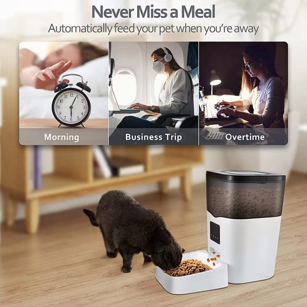 Automatically Feed Your Pet When Youre Away