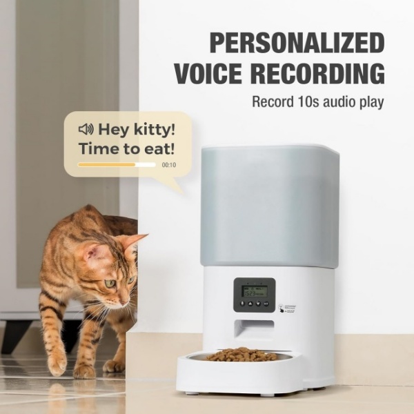 Personalized Voice Recording
