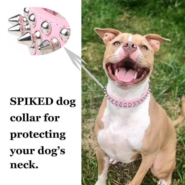 Wehao Studded Dog Collar Durable Comfortable Stylish Protection