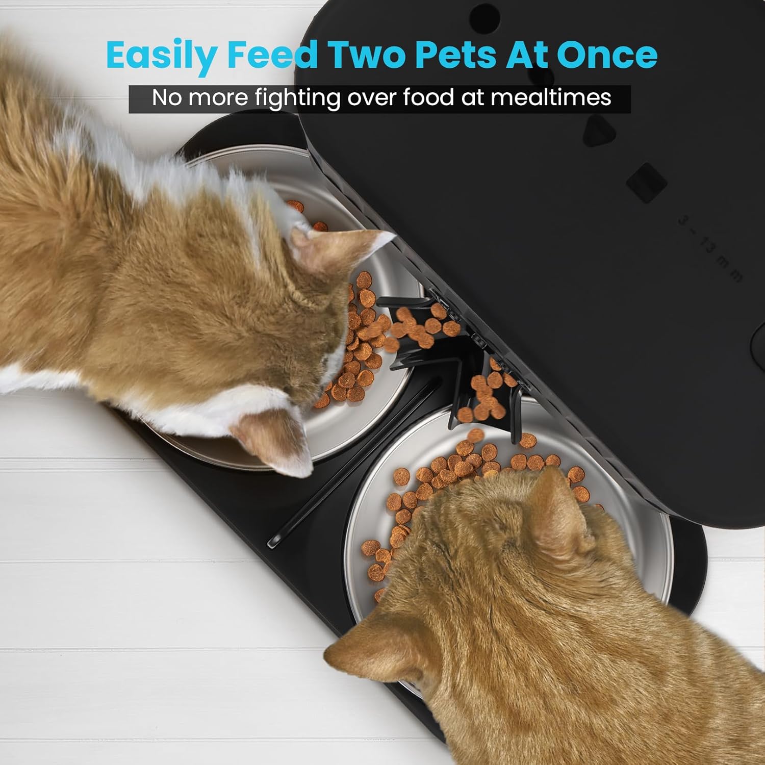 Easily Feed Two Pets At Once