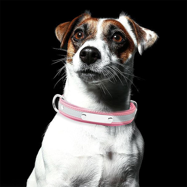 Wehao Reflective Dog Collar with Name Pers