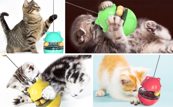 1.cat food puzzle toys