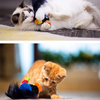 Wehao Interactive Squeaky Feather Bird Toy for Cats Dogs