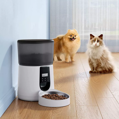6 Cat Feeder.png