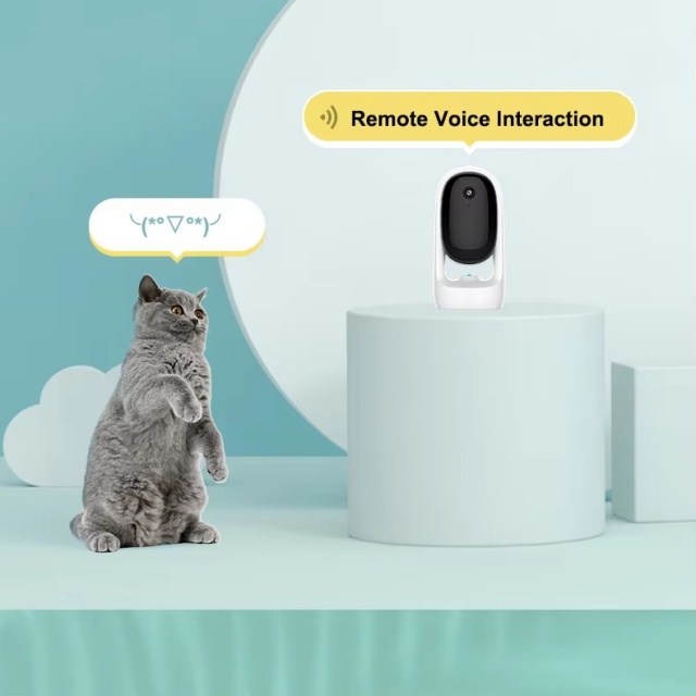 Wehao Pets Wholesale Interactive Smart Laser Teaser Cat Toys With Camera