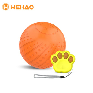 Pet Product Manufacturers Electronic Remote Interactive Ball Dog Toys
