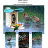 Smart AI Bird Feeder with Motion Detection And Solar Charging