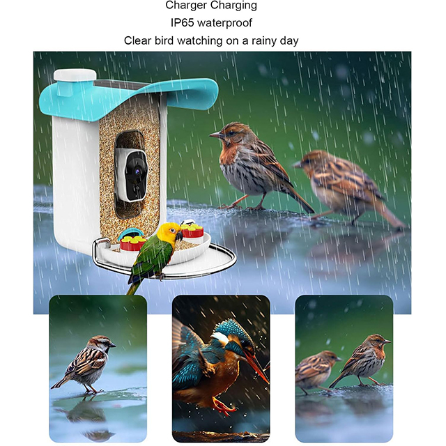 Smart AI Bird Feeder with Motion Detection And Solar Charging