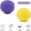 Dog Toy Suppliers Custom Interactive Rubber Squeaky Chew Ball Dog Toys