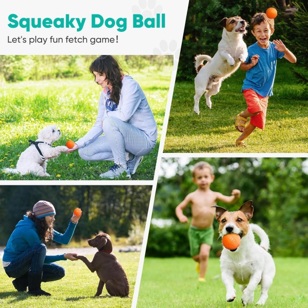 interactive ball toys