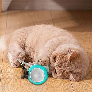 1.Suitable for indoor outdoor use Cat Interactive Toys