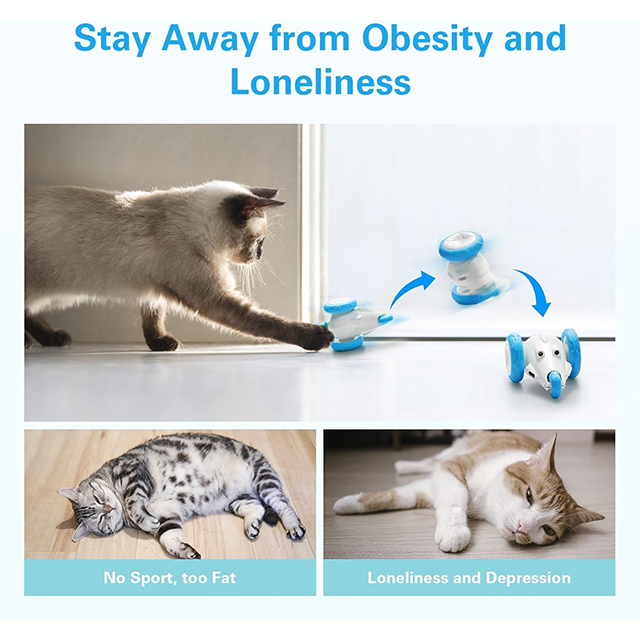 Wehao Interactive Cat Toys with Adjustable Speeds