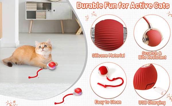 2.cat toy ball track