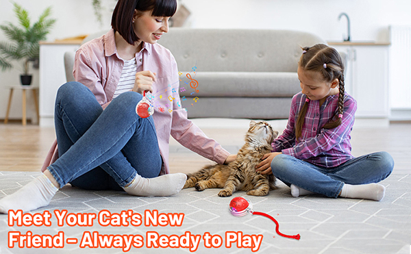 5.cat toy with ball