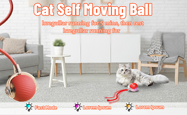 4.ball cat toy