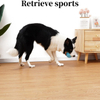 Dog Toy Companies Personalized Tough Rubber Squeaky Dog Ball Toys