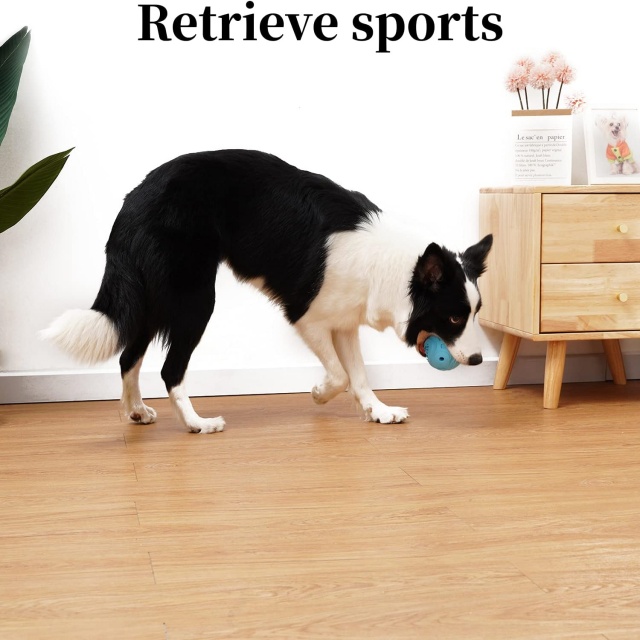 Dog Toy Companies Personalized Tough Rubber Squeaky Dog Ball Toys