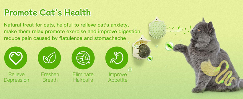 2.Easy Installation Catnip Toys