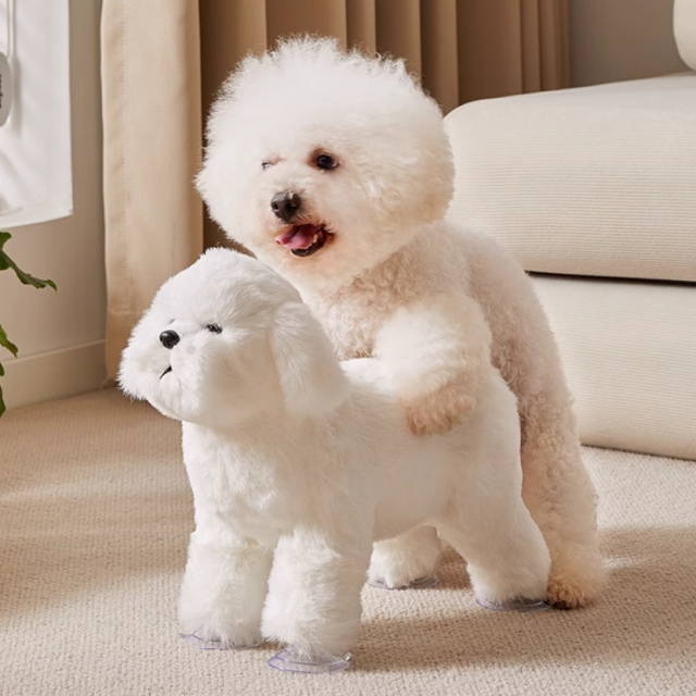 2 dog sex toy