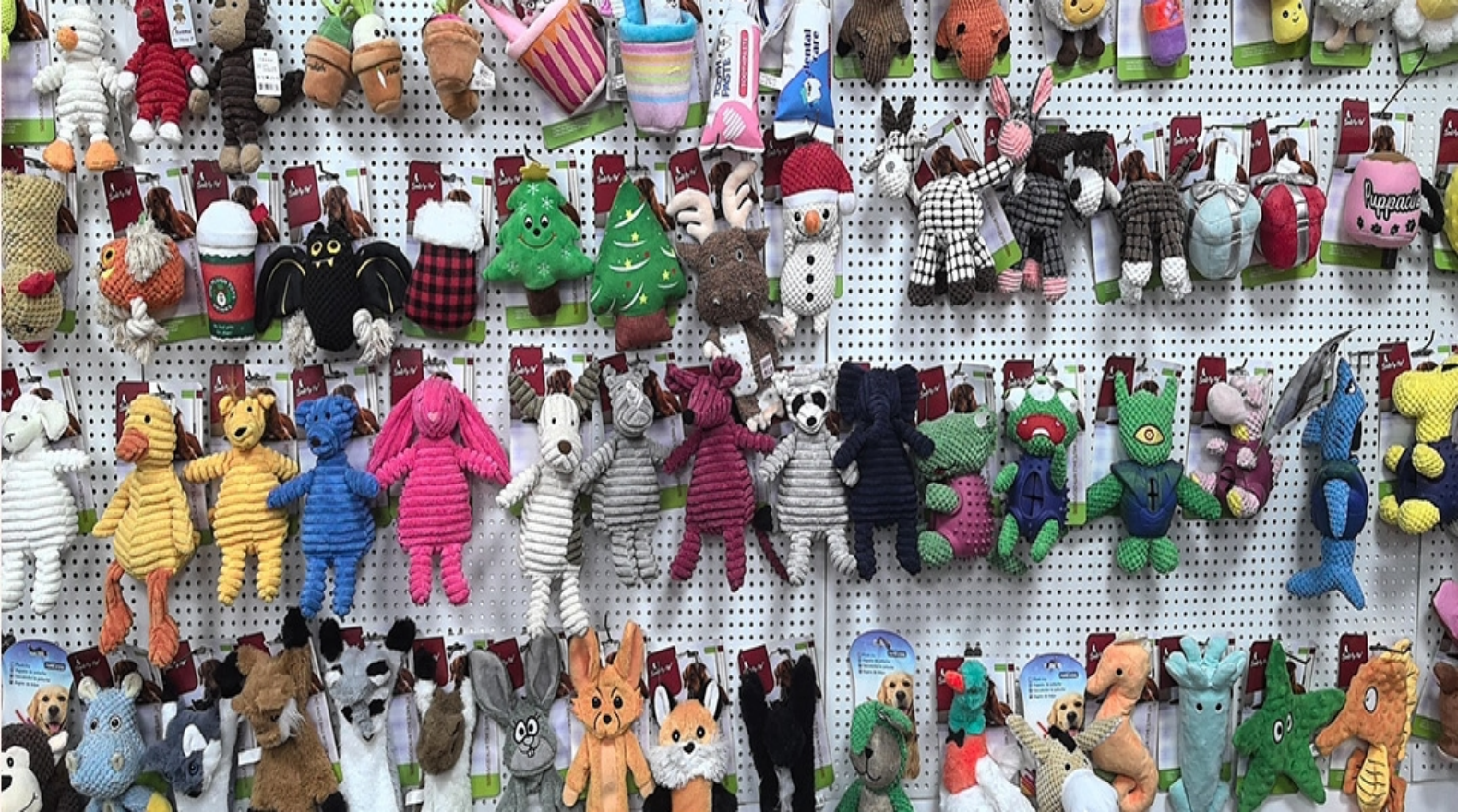 Sample Room