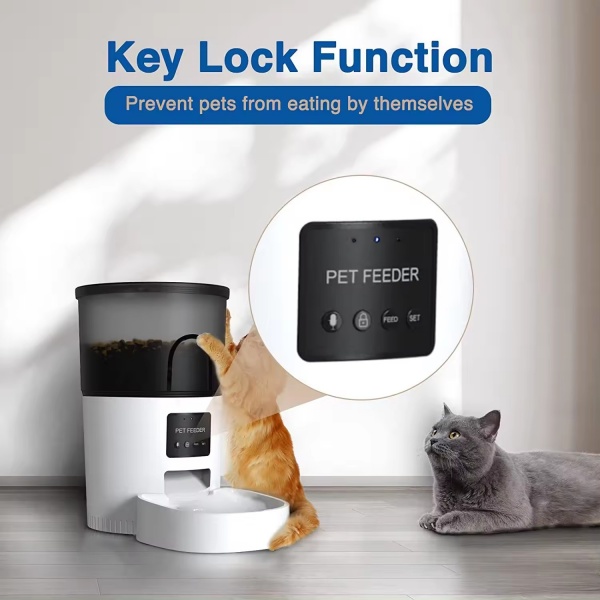 Key Lock Function