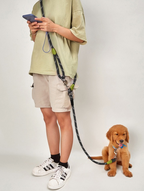 Dog Leashes
