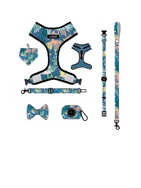 Dog Accessories Set