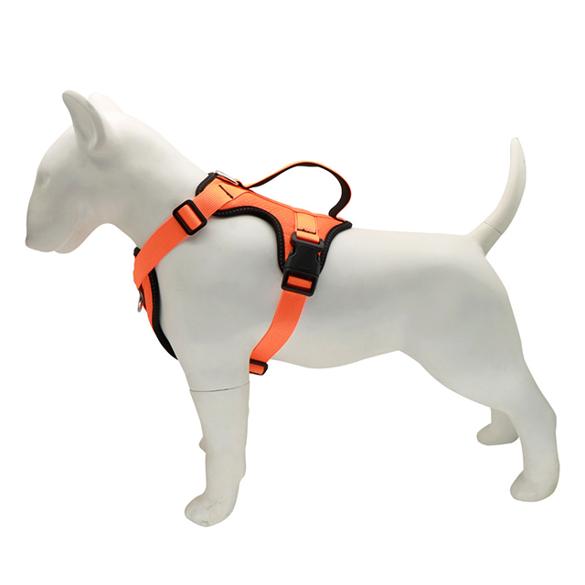 Wehao No Pull Dog Harness with Dual Attachment Points