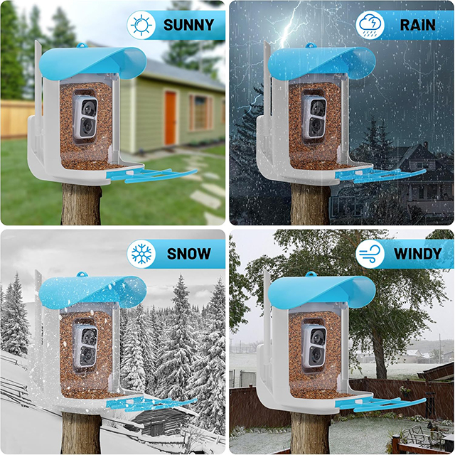 Wehao Smart Bird Feeder with AI Camera And Solar Panel