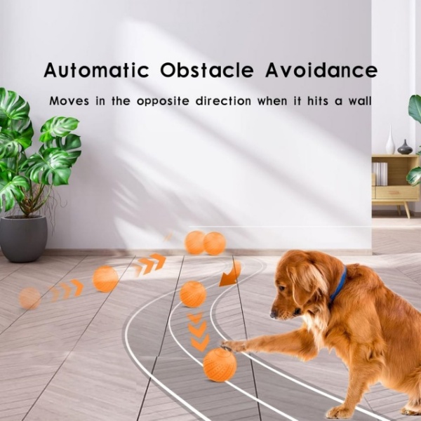Dog Toy Manufacturers