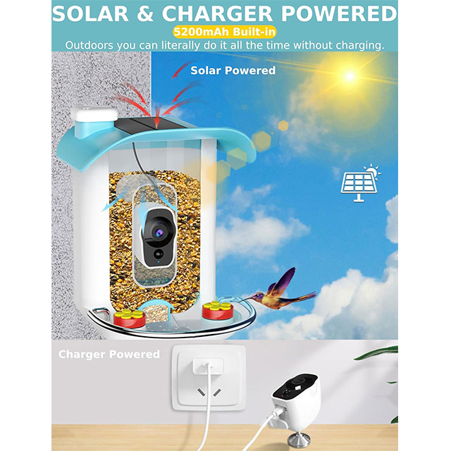 Smart AI Bird Feeder with Motion Detection And Solar Charging